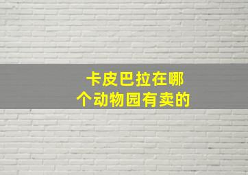 卡皮巴拉在哪个动物园有卖的