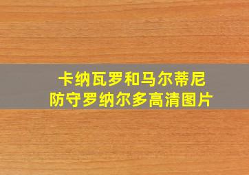 卡纳瓦罗和马尔蒂尼防守罗纳尔多高清图片