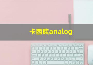 卡西欧analog