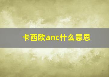 卡西欧anc什么意思