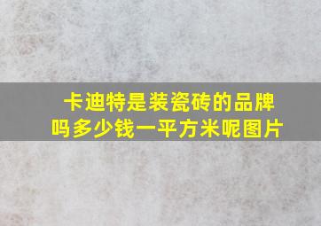 卡迪特是装瓷砖的品牌吗多少钱一平方米呢图片