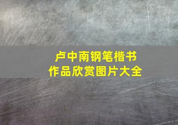 卢中南钢笔楷书作品欣赏图片大全