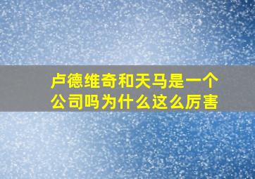 卢德维奇和天马是一个公司吗为什么这么厉害