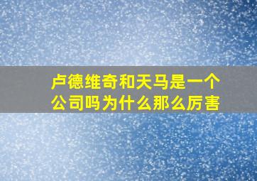 卢德维奇和天马是一个公司吗为什么那么厉害