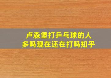 卢森堡打乒乓球的人多吗现在还在打吗知乎