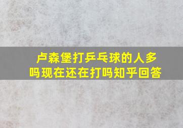 卢森堡打乒乓球的人多吗现在还在打吗知乎回答