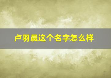 卢羽晨这个名字怎么样