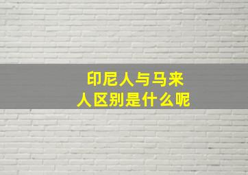 印尼人与马来人区别是什么呢