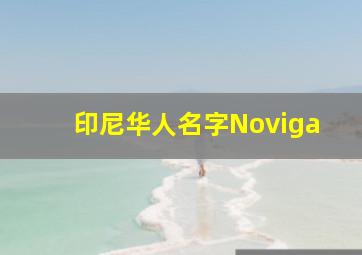 印尼华人名字Noviga