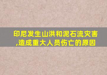 印尼发生山洪和泥石流灾害,造成重大人员伤亡的原因