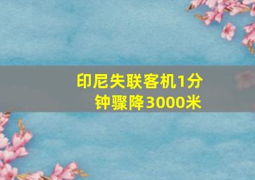 印尼失联客机1分钟骤降3000米