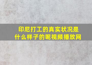 印尼打工的真实状况是什么样子的呢视频播放网