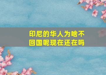 印尼的华人为啥不回国呢现在还在吗