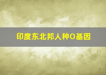 印度东北邦人种O基因