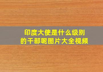 印度大使是什么级别的干部呢图片大全视频