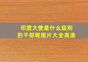 印度大使是什么级别的干部呢图片大全高清