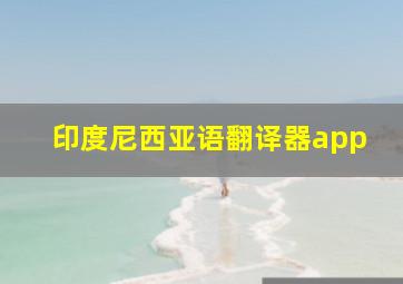 印度尼西亚语翻译器app