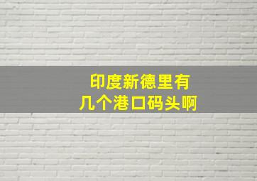 印度新德里有几个港口码头啊