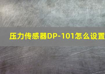 压力传感器DP-101怎么设置