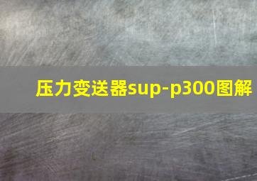 压力变送器sup-p300图解