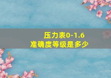 压力表0-1.6准确度等级是多少