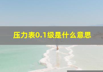 压力表0.1级是什么意思