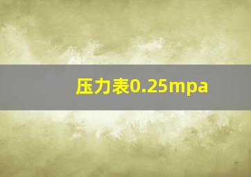 压力表0.25mpa