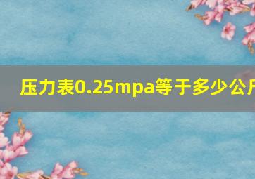 压力表0.25mpa等于多少公斤