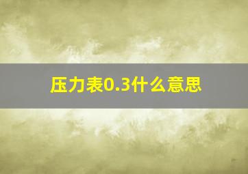 压力表0.3什么意思