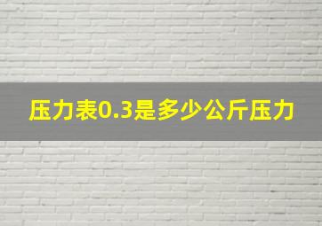 压力表0.3是多少公斤压力