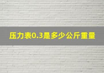 压力表0.3是多少公斤重量