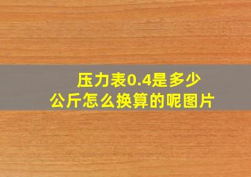 压力表0.4是多少公斤怎么换算的呢图片