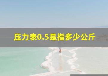 压力表0.5是指多少公斤