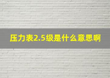 压力表2.5级是什么意思啊