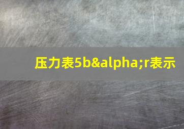 压力表5bαr表示