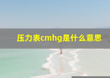 压力表cmhg是什么意思