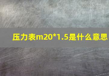 压力表m20*1.5是什么意思