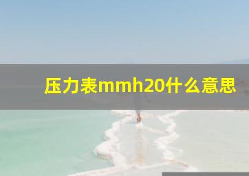 压力表mmh20什么意思