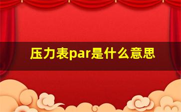 压力表par是什么意思