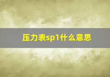 压力表sp1什么意思