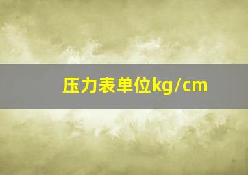 压力表单位kg/cm