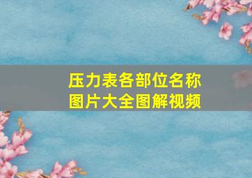 压力表各部位名称图片大全图解视频