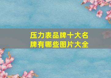 压力表品牌十大名牌有哪些图片大全