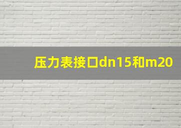 压力表接口dn15和m20