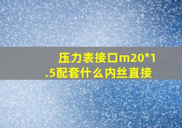 压力表接口m20*1.5配套什么内丝直接