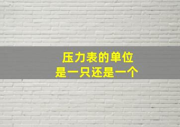 压力表的单位是一只还是一个