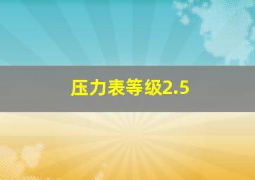 压力表等级2.5