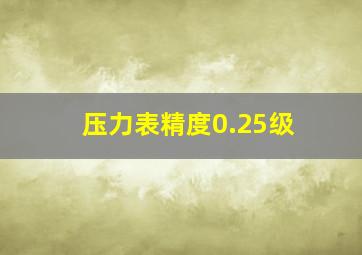 压力表精度0.25级