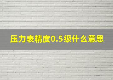 压力表精度0.5级什么意思