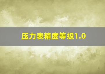 压力表精度等级1.0